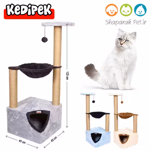 اسکرچر مدل انبه کدی پک