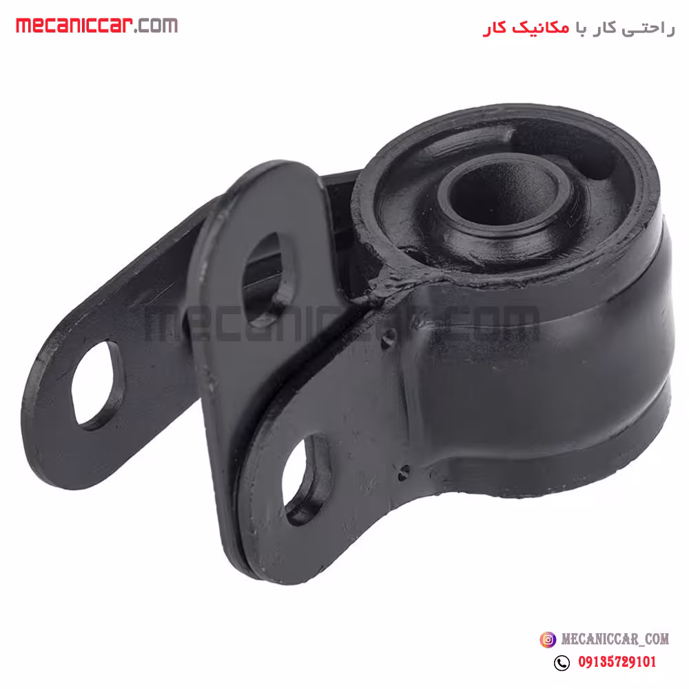 بوش طبق جناقی سمت چپ زانتیا