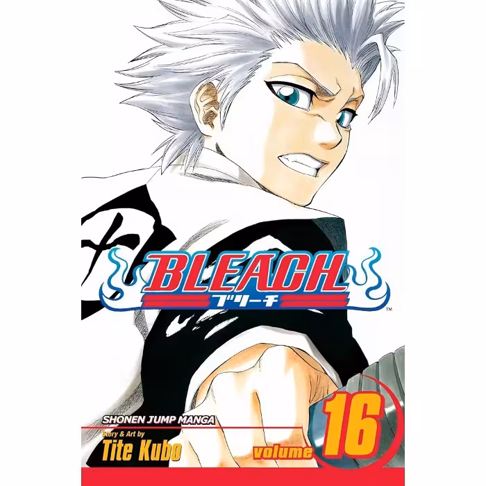 Bleach v16