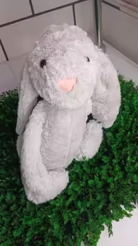 عروسک خرگوش جیلی کت متوسط