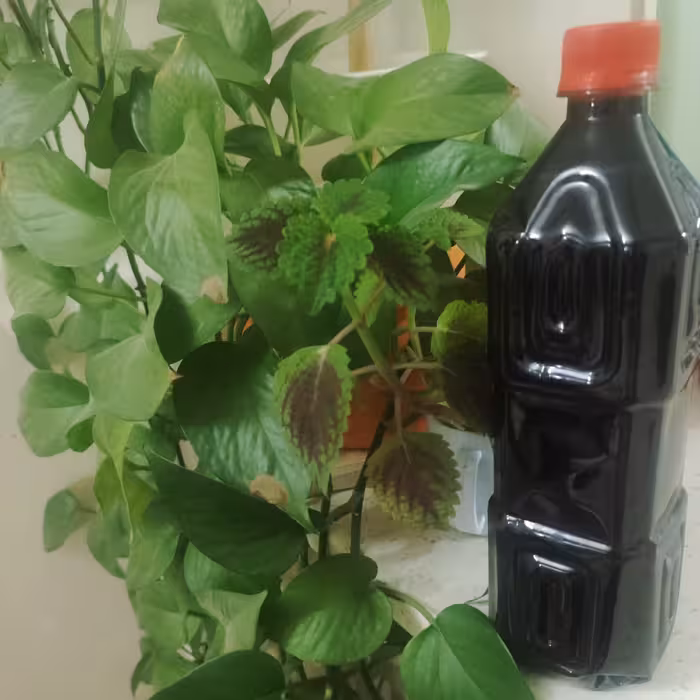 رب انار  خانگی  خالص و تضمینی(یک لیتر و دویست گرم)   