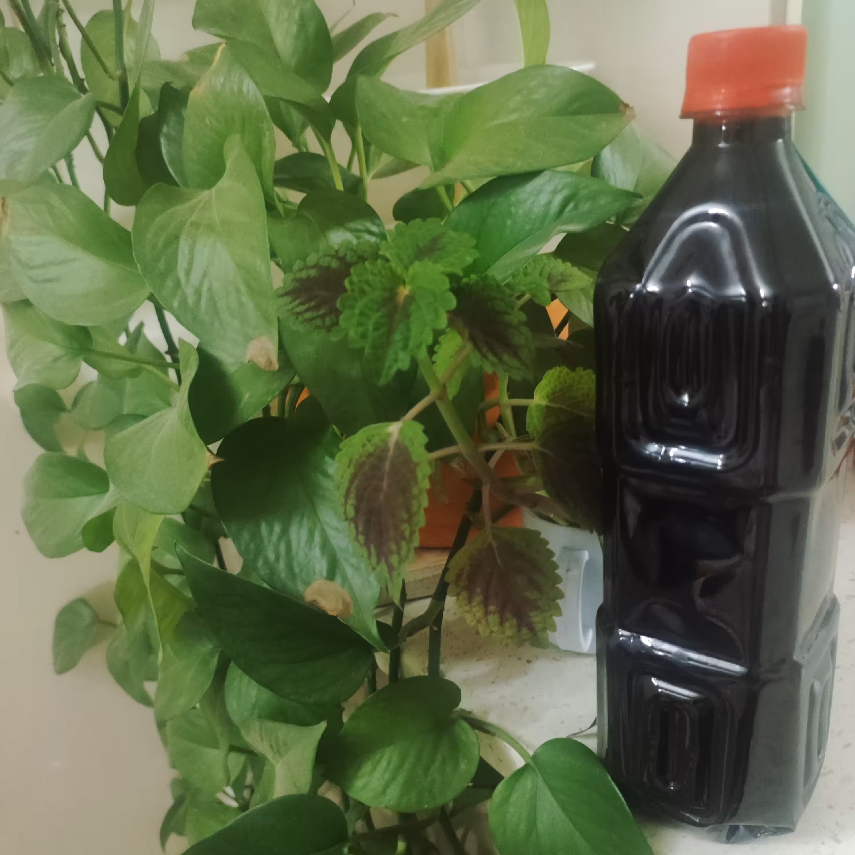 رب انار  خانگی  خالص و تضمینی(یک لیتر و دویست گرم)   