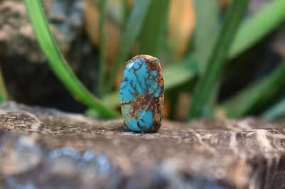 فیروزه نیشابور