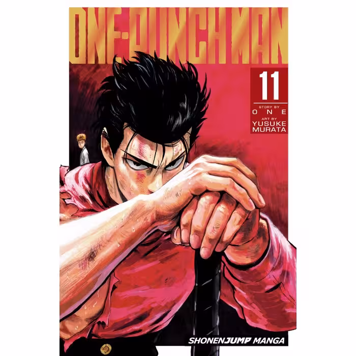 One-Punch Man v11