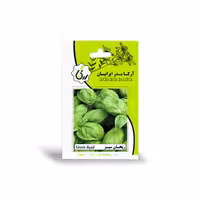 بذر ریحان سبز آرکا بذر ایرانیان
