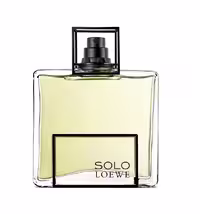 لوئوه سولو اسنشیال ادوتویلت مردانه 100 میل LOEWE SOLO ESENCIAL EDT 100ML