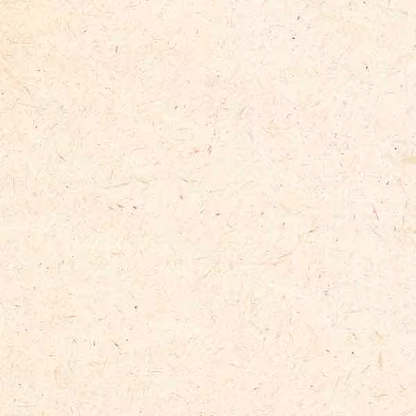 کاغذ خوشنویسی ابروباد چاپی سایز 50*35 کد(817) - بسته 5 برگی