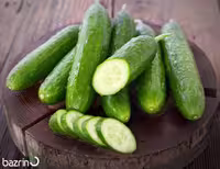 بذر خیار بت آلفا