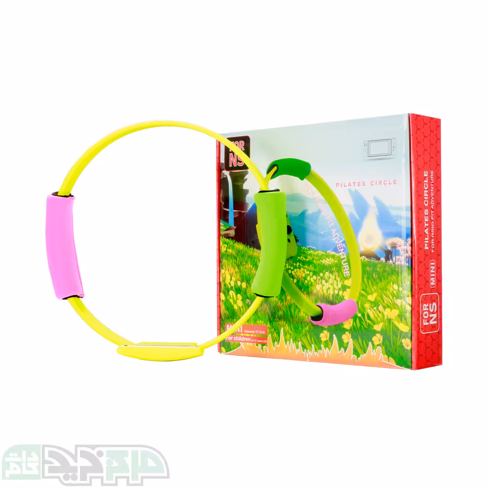 مینی حلقه ورزشی نینتندو سوییچ مدل HBS-179B