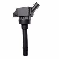 کوئل آریزو 6