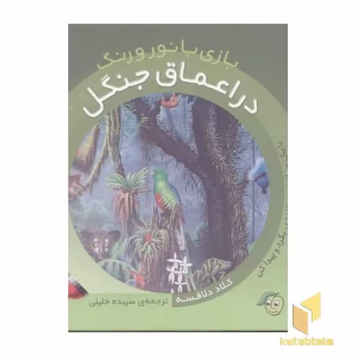 کتاب بازی با نور و رنگ(در اعماق جنگل) اثر کلاد دلافسه نشر پیام مشرق