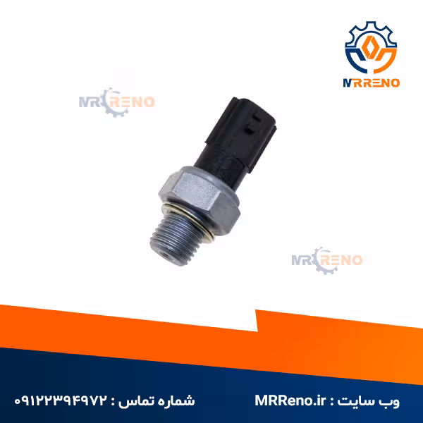 فشنگی روغن سیمبل اصلی رنو