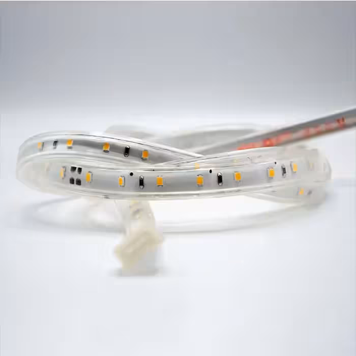 ریسه شلنگی 220 ولت تراکم 60 رنگی لوپ لایت