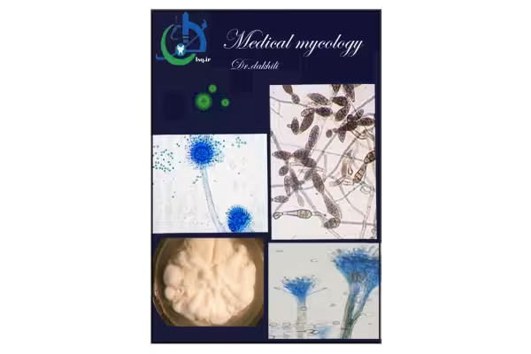 📝جزوه: Medical mycology 🖊استاد: دکتر دخیلی 🏛دانشگاه آزاد اسلامی واحد قم - کتابخانه مجازی واتیکان