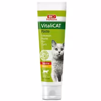 خمیر مولتی ویتامین گربه بالغ بایوپت اکتیو مدل VitaliCat حجم 100 میلی لیتر
