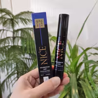 ریمل حجم دهنده و بلندکننده نایس مدل big lash