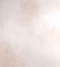 بک دراپ چوبی کد 256 (در 3 سایز)