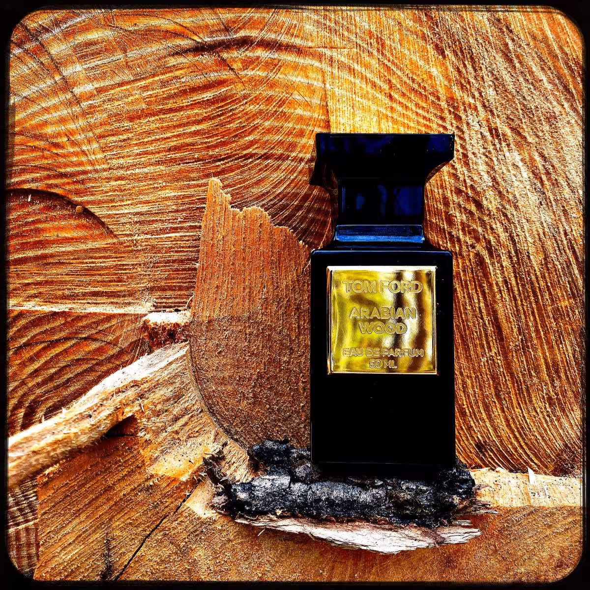 عطر ادکلن تام فورد ریزرو کالکشن: عربین وود اصل | Tom Ford Reserve Collection: Arabian Wood 50 ml
