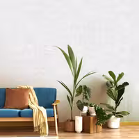 کاغذ دیواری مدل کربن کد 10271 طرح پتینه سفید