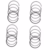 رینگ موتور روا پیکان وانت 020 OHV عظام TP اصل 3118011