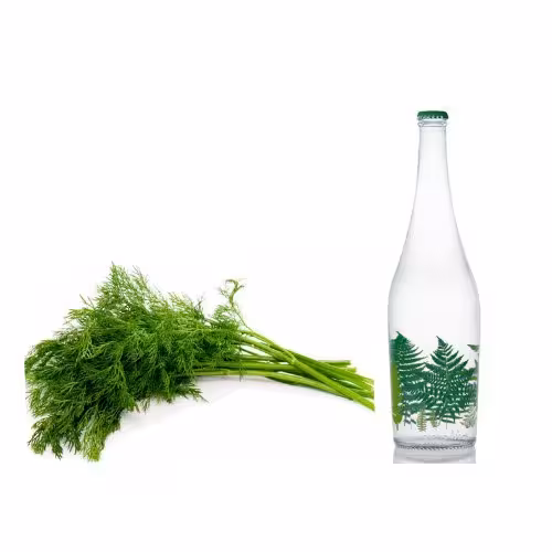 عرق شوید یک لیتری کاهش قند خون ، درد مفاصل ،چربی 