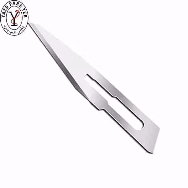 تیغ بیستوری