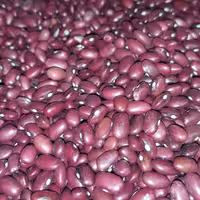 لوبیا قرمز  مخصوص قرمه سبزی پسندان تازه و پاک شده و با قیمت مناسب اماده ارسال