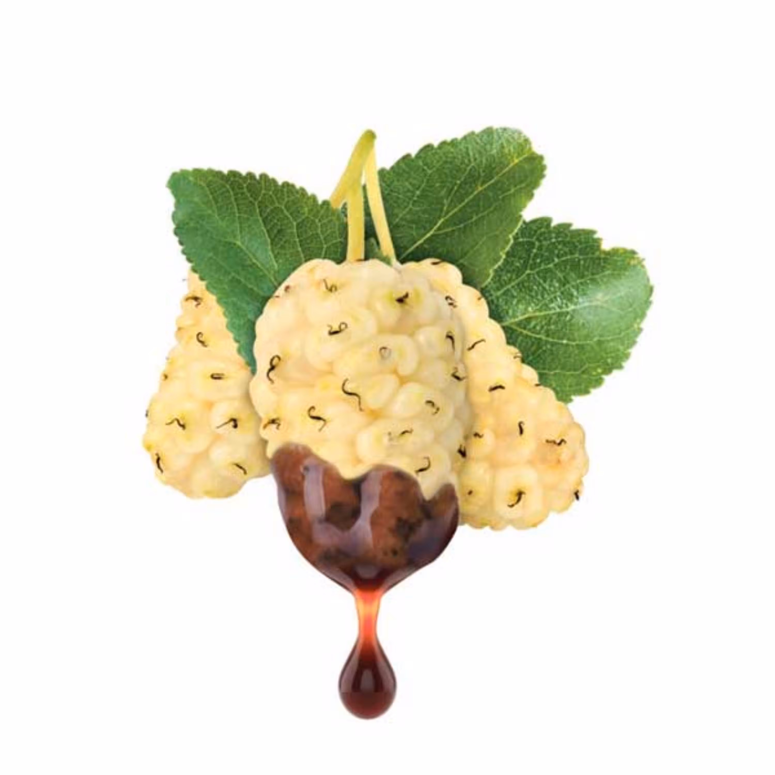 شیره توت خالص خانگی رازقی(5 کیلو و 600گرمی)