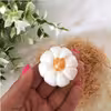 میوه تزئینی مدل کدو تنبل کد 633 بسته 3 عددی