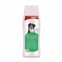 شامپو سگ بایولاین حاوی روغن درخت چای Bioline Tea Tree Oil Shampoo حجم 250 میلی‌لیتر