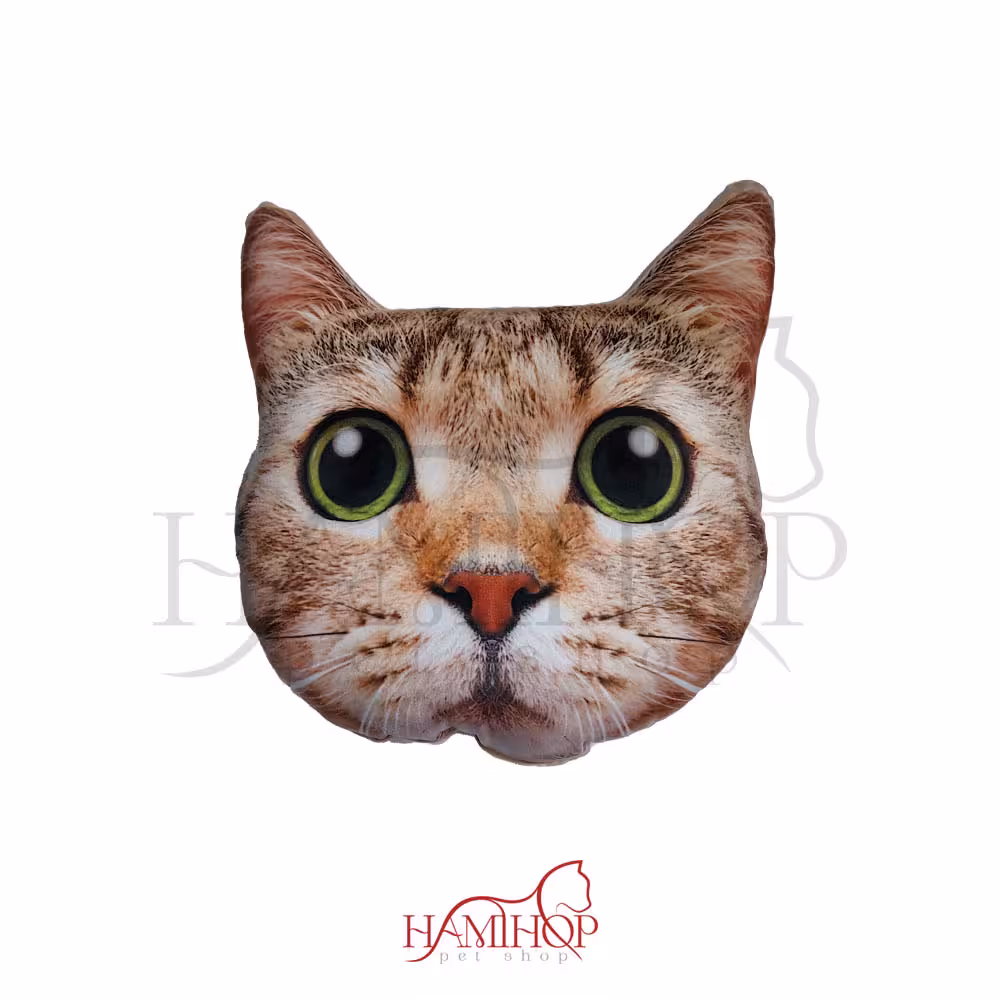 کوسن طرح صورت گربه