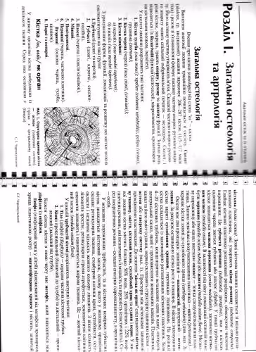 خرید و دانلود نسخه کامل کتاب Анатомія кісток та їх з&#039;єднань