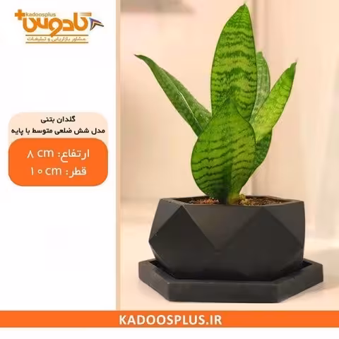 گلدان بتنی شش ضلعی