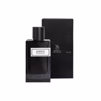 اکستریت پرفیوم مردانه برندینی Brandini مدل Spirito حجم 90 میلی لیتر