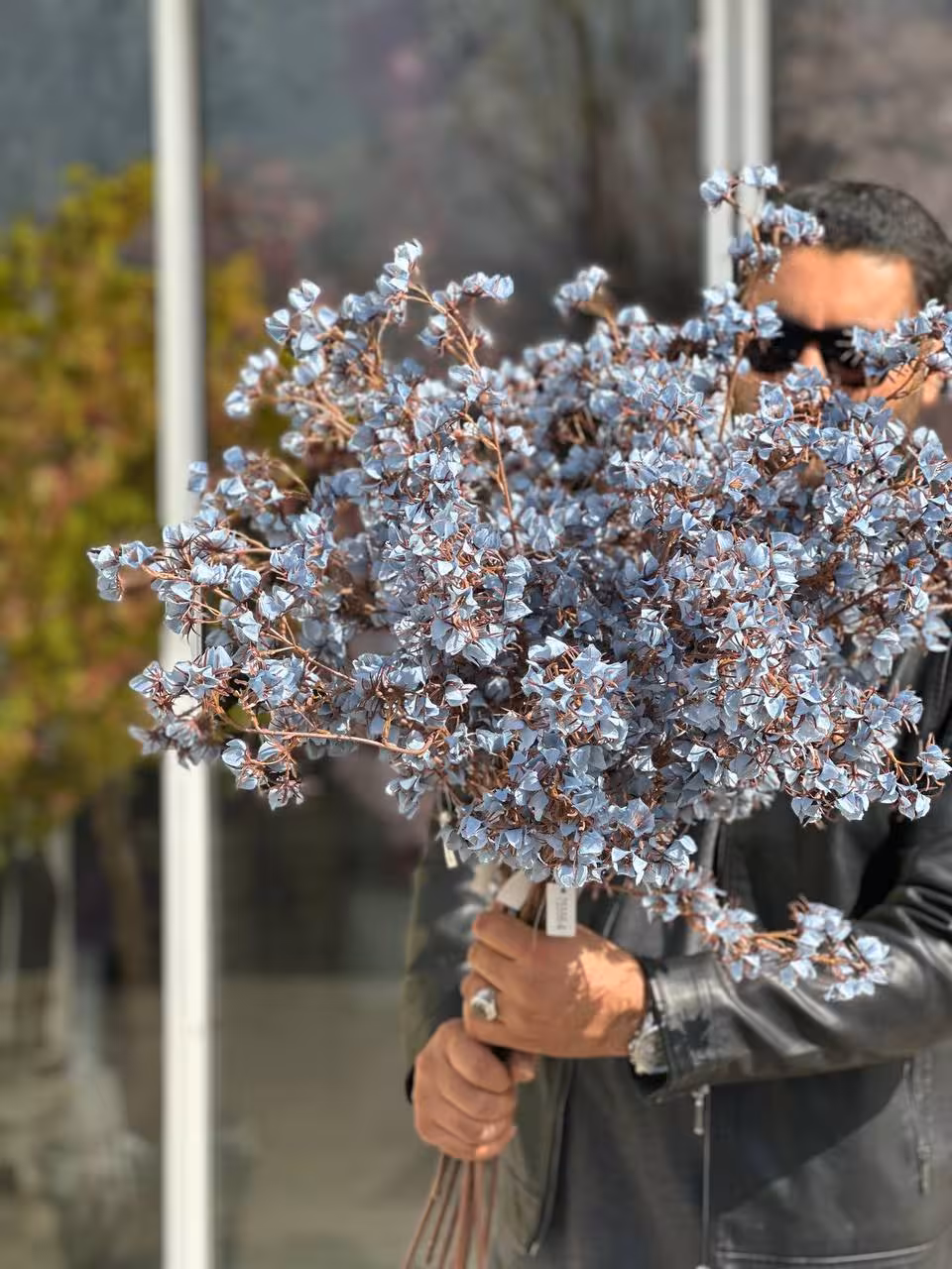 شکوفه خاردار غنچه ابی کمرنگ