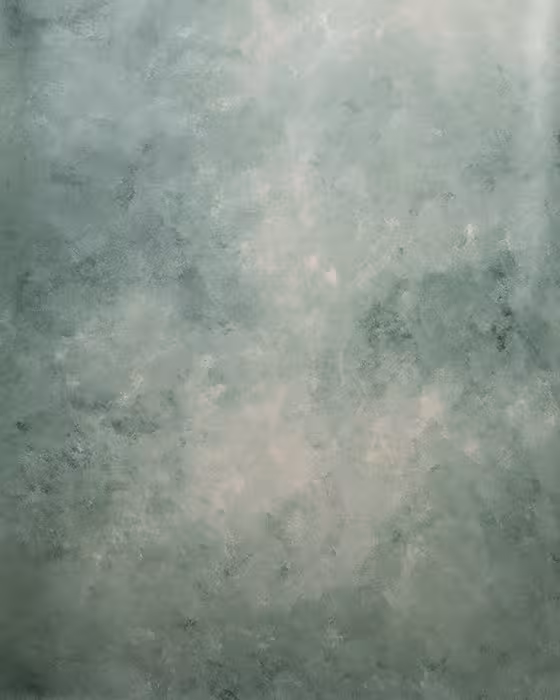 بک دراپ پارچه ای چاپی کد 113