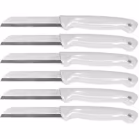 ست 6 عددی کارد میوه و سبزی زولینگن (Solingen) آلمان – تیغه تیز اره ای و دسته سفید براق