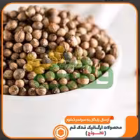 تخم گشنیز اعلاء فدک (150گرم)