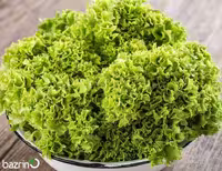 بذر کاهو فرانسوی سبز F1