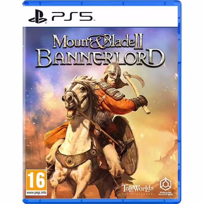 بازی Mount & Blade 2: Bannerlord برای ps5