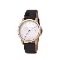 ساعت مچی مردانه ES1G156L0035