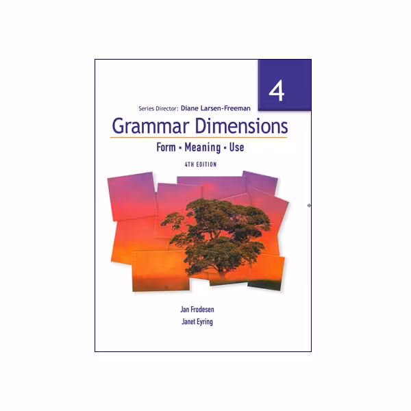 Grammar Dimensions 4th Edition 4