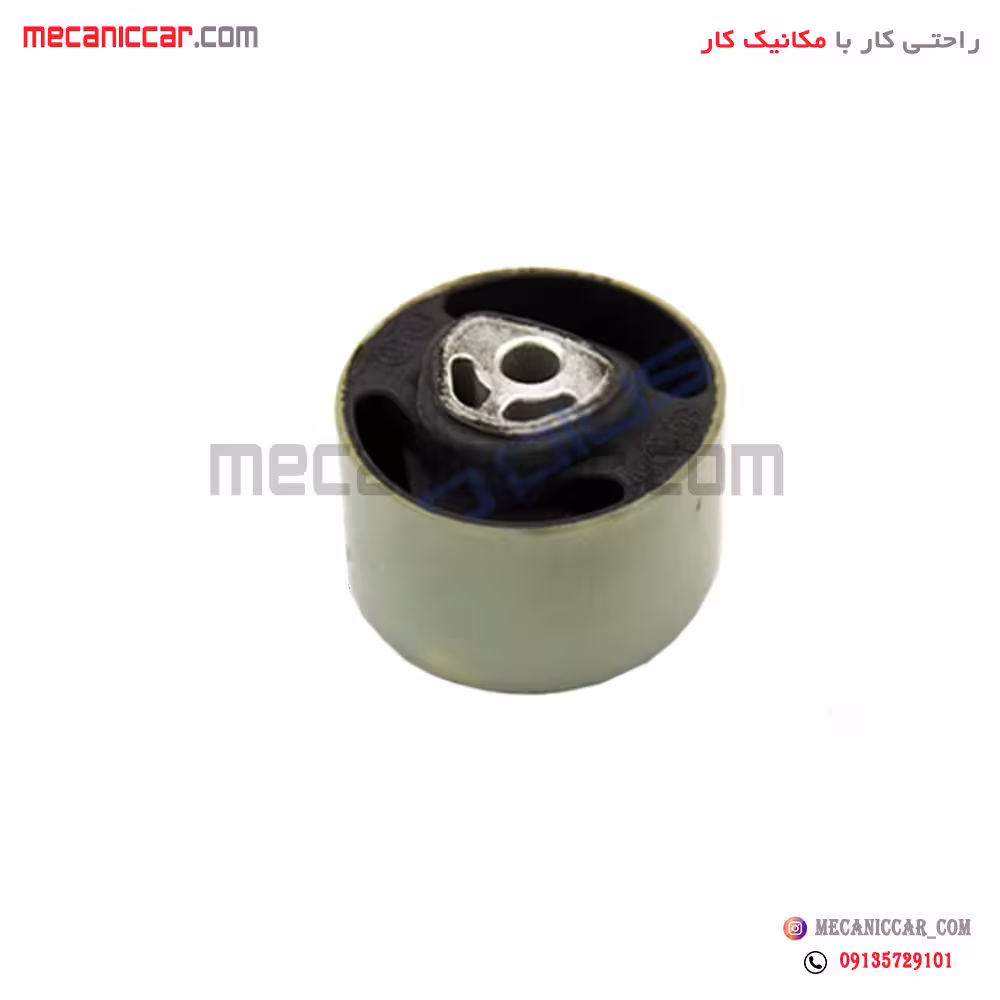 بوش پایه پلوس رانا