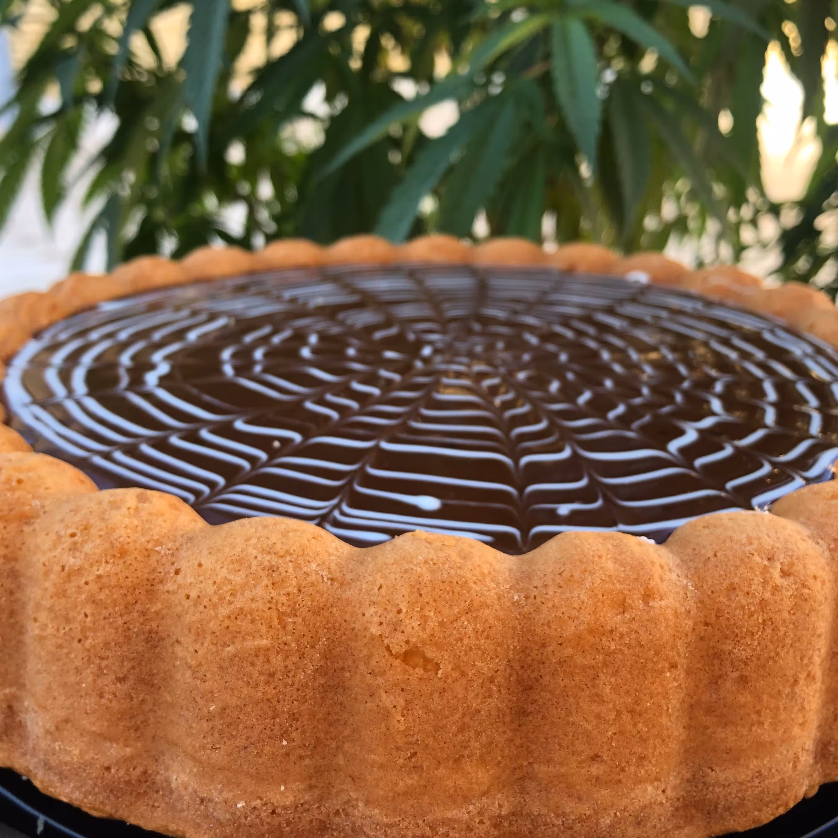 کیک عصرانه(خانگی)
کیک پرتغال با سس شکلاتی