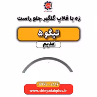 زه یا فلاپ گلگیر جلو راست تیگو 5 قدیم