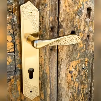 دستگیره در مدل سویچی پلاک F24 بسته 2 عددی