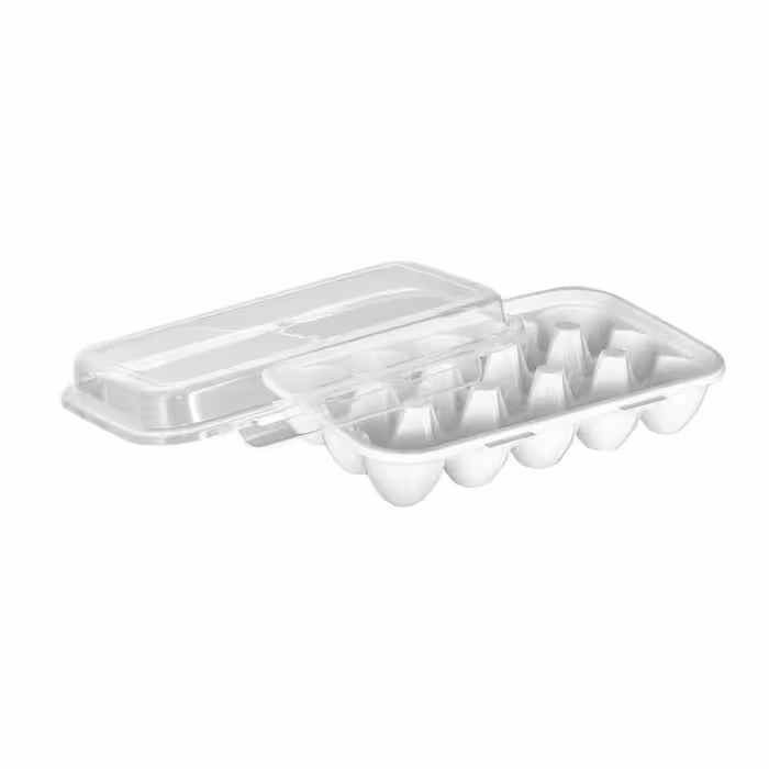 ظرف نگهدانده تخم مرغ ایراک پلاستیک مدل P15