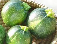 بذر کدو خورشتی گرد سبز