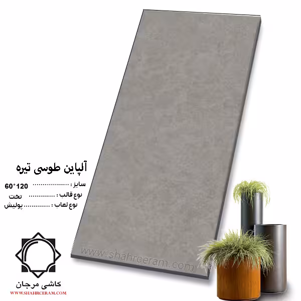 سرامیک alpine آلپاین طوسی تیره 120*60 کاشی مرجان