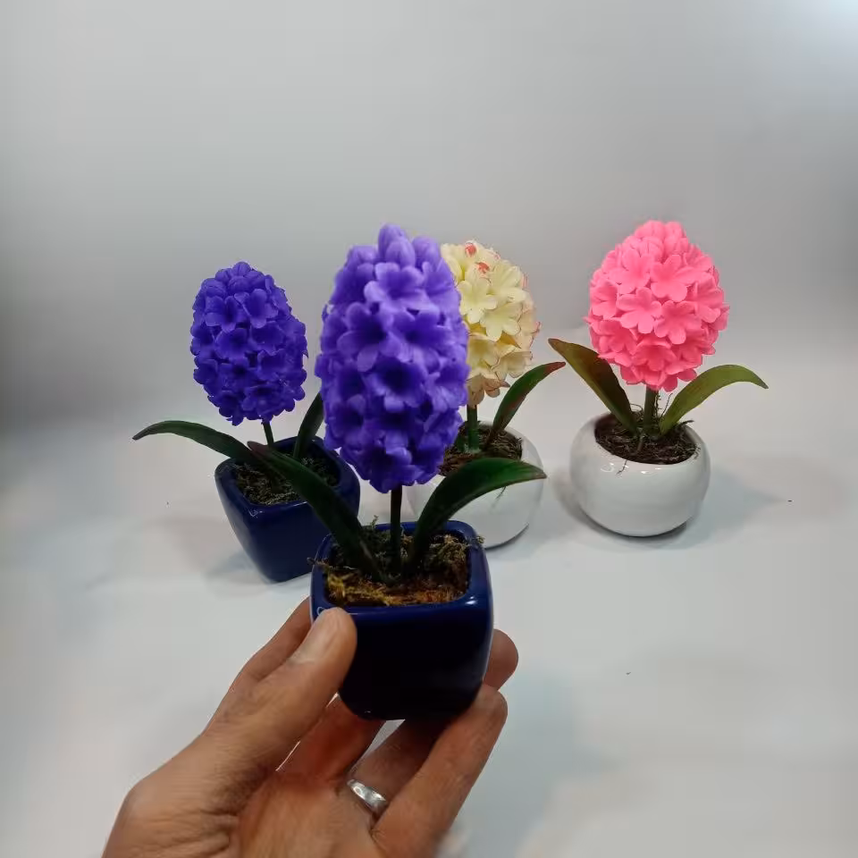 گل سمبل گل رز کاکتوس همراه گلدان گل رز مصنوعی همراه گلدان تنوع گل کاکتوس  و گلدان صیفی جات